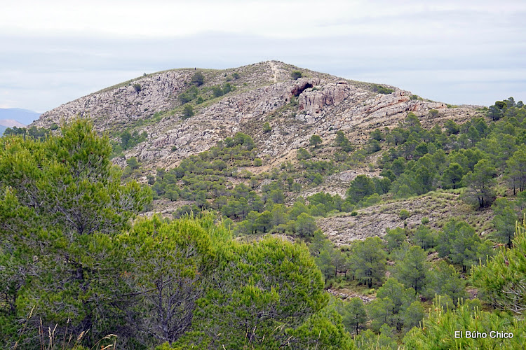 Los Castillarejos