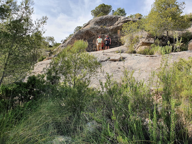 Pinturas Rupestres del Abrigo de la Pedrera