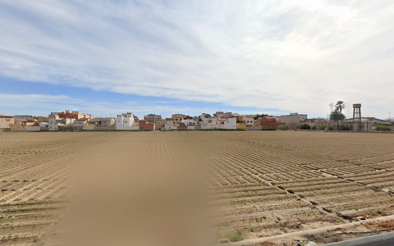 Huerta de Beniel
