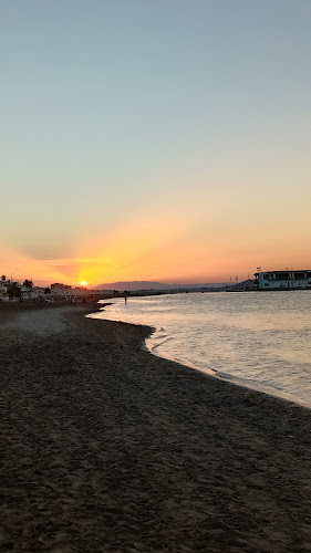 Caballito De Mar
