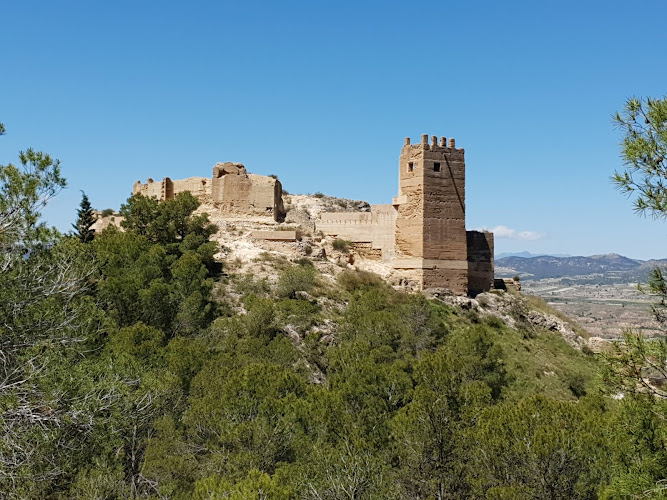Castillo de Pliego