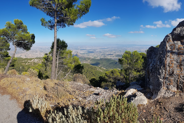 Pico de Los Almeces