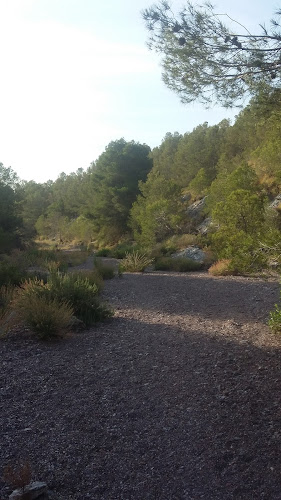 Rambla del Pino