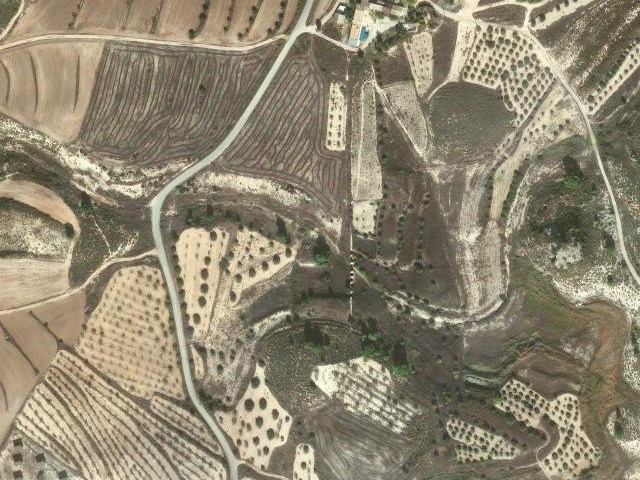 Cañada de las Retamas