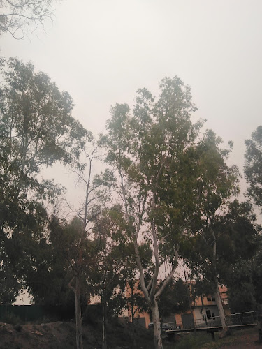 Parque Forestal de San Antonio