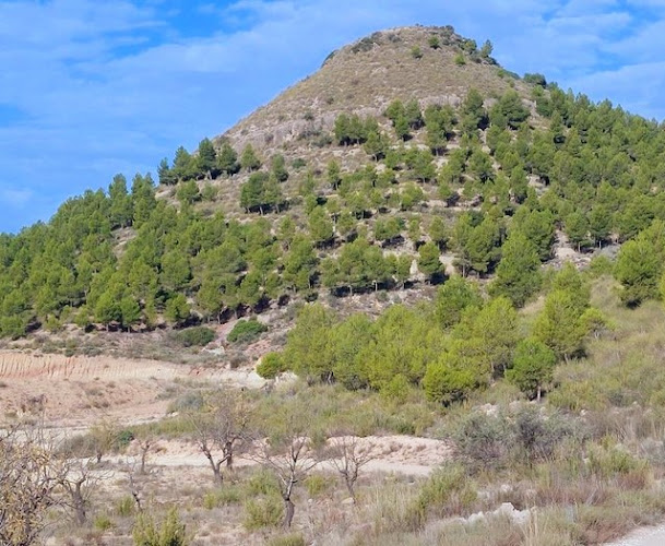 Cabecica del Trigo