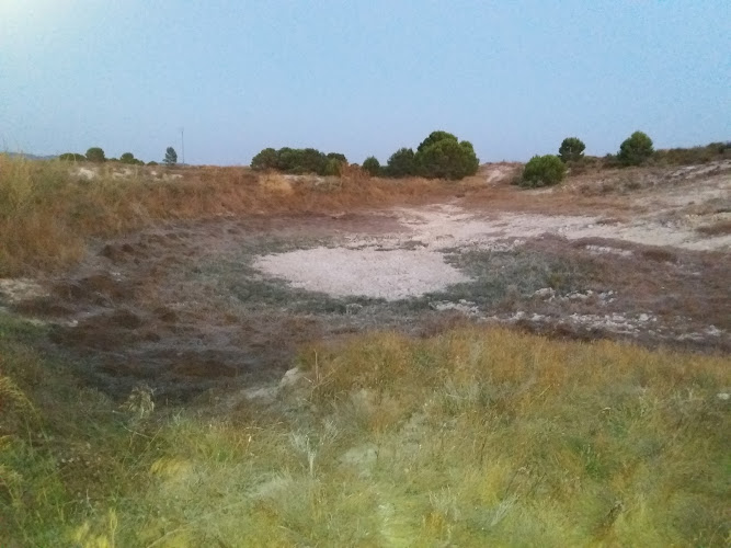 Charco del Buey