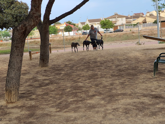 Pipican La Dorada
