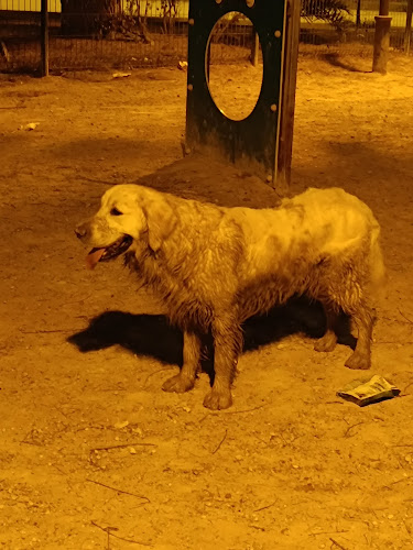 ZECA - Jardín Academía de Infantería (Zona Canina)