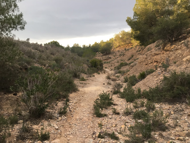 Área Recreativa Los Cuadros