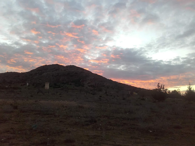 El Carmolí