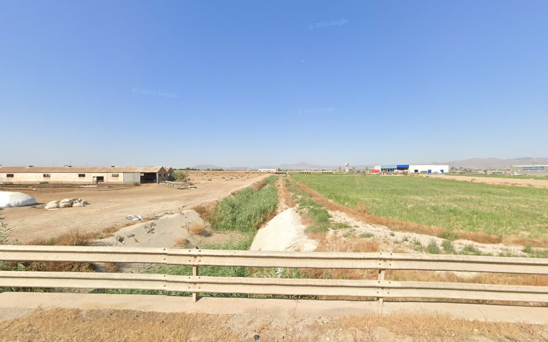 Rambla biznaga