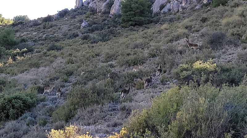 Cerro Peñarrubia