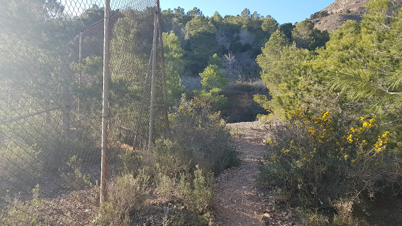 Senda De La Valla
