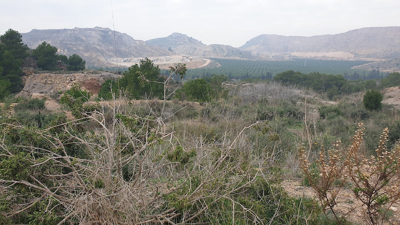 La Fuente del Sapo
