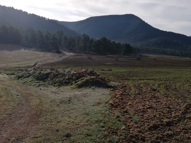 Corral de la Hoya del Gavilán