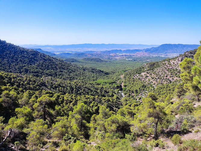 Mirador del Collado Pilón