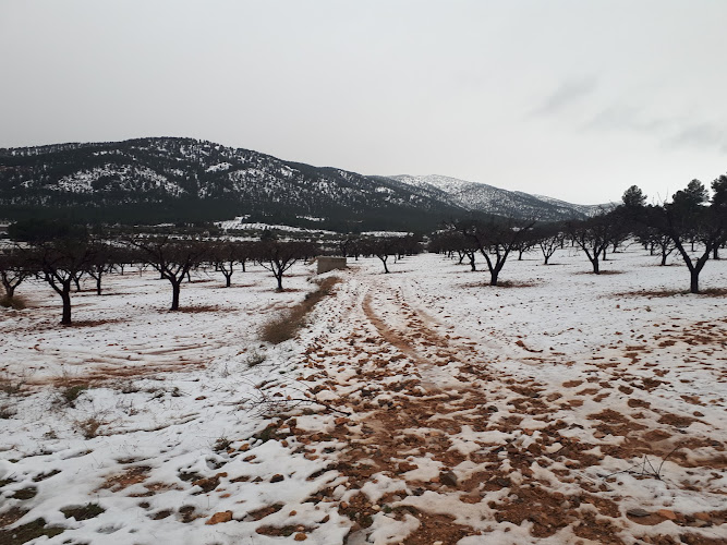 Sierra de Burete