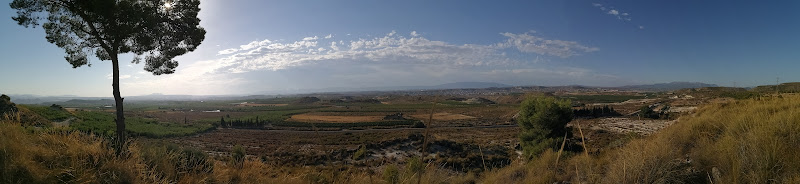 Ruta d elos frutales en flor