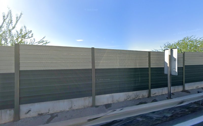 Palmeral de la Alameda