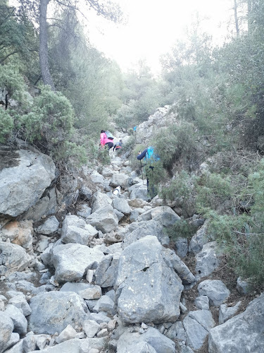 Rambla Pétrea de Lavia