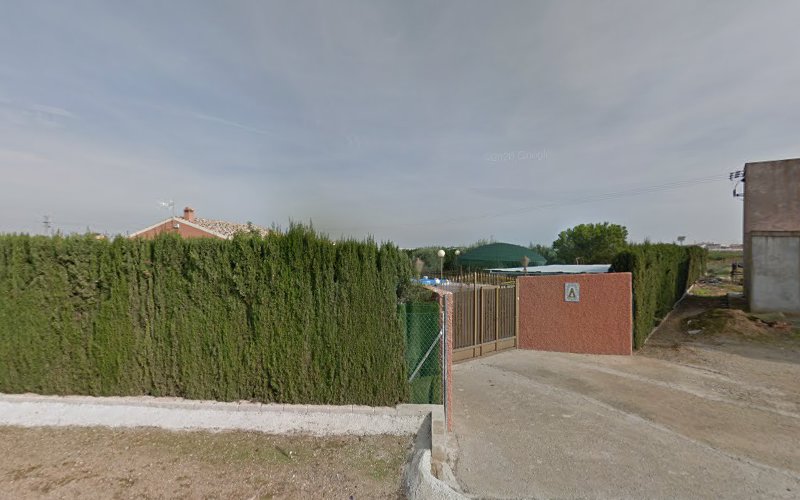 Lugar Pozo Aledo, S/N Finca el olivar