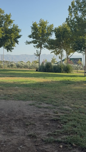 Parque Canino