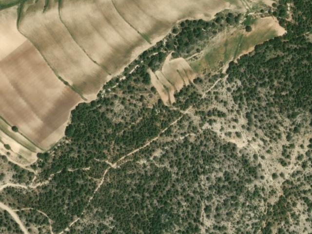 Senda de las Tablas