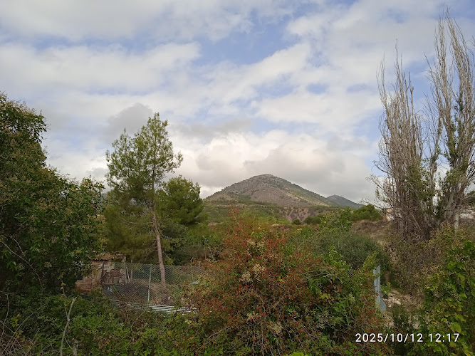 Anillo Verde Caravaca de la Cruz (Tramo 5)