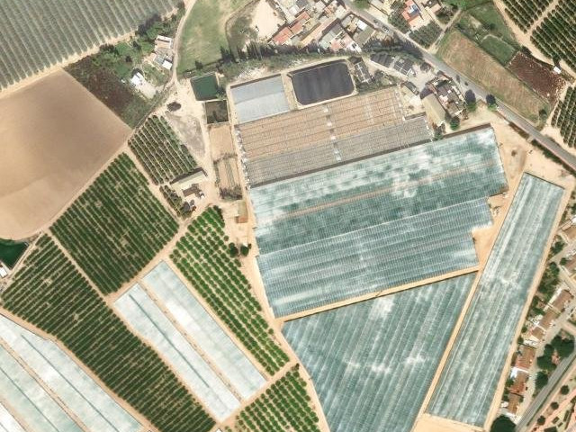 Finca roda