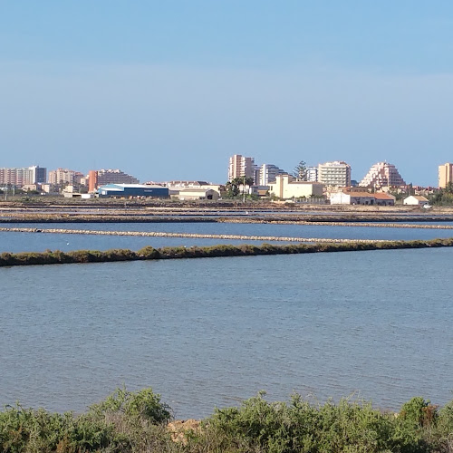 Restaurante Los Triolas Cabo de Palos