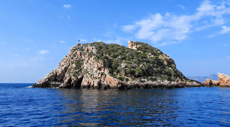 Isla de las Palomas