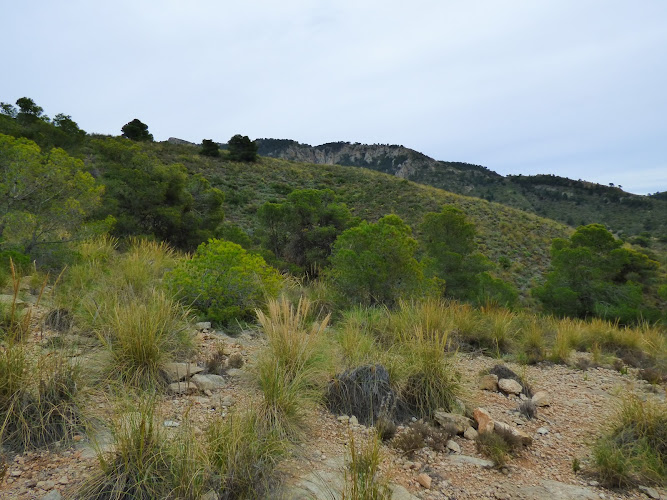 Mirador Cabezo de la Caracola