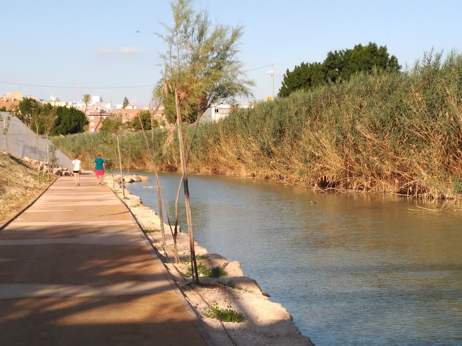Paseo Mota del Río Segura