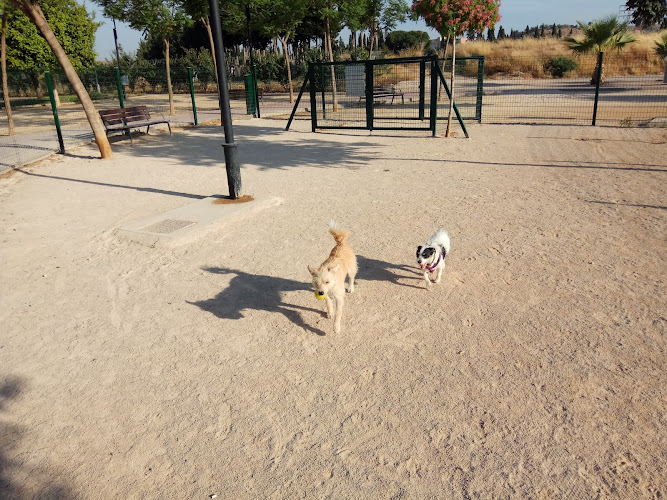 Jardín de los Olivos
