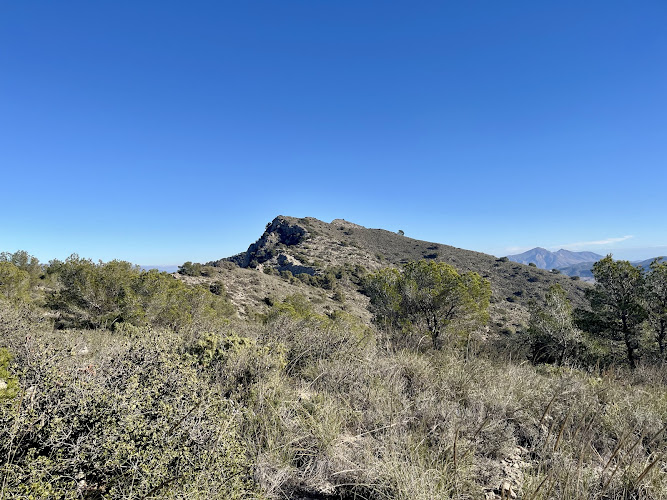Piñón de Quibas