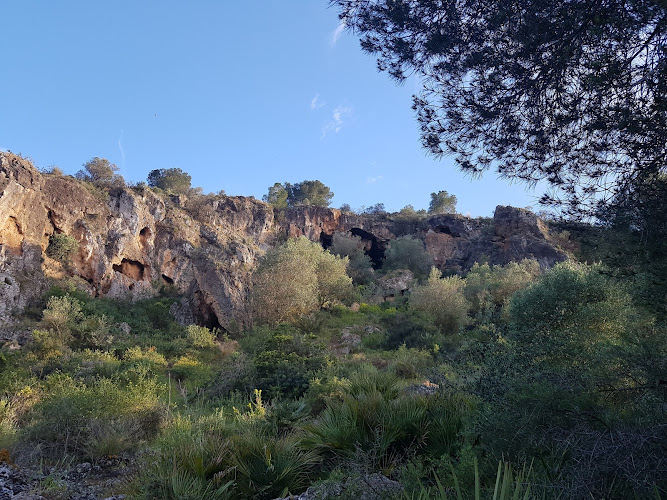 Cuevas del Buitre