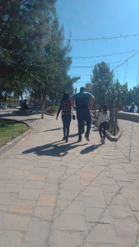 Zona ZECA - Parque Canino