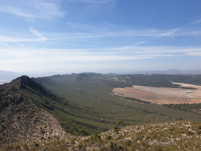 Sierra De La Cabeza Del Asno