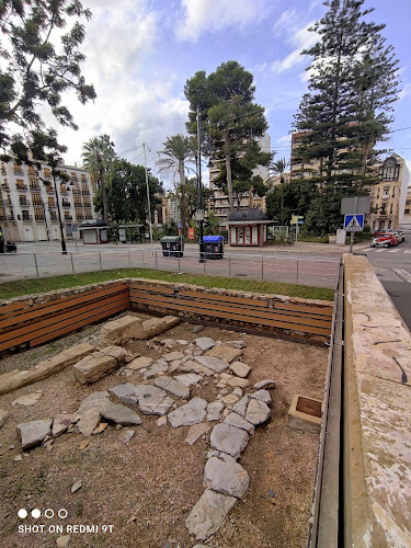 Cardo de Salvius