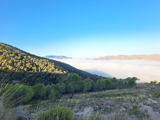 Espacio Natural Protegido Sierra de Salinas