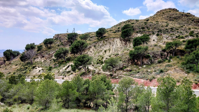 Antenodro de Lorca