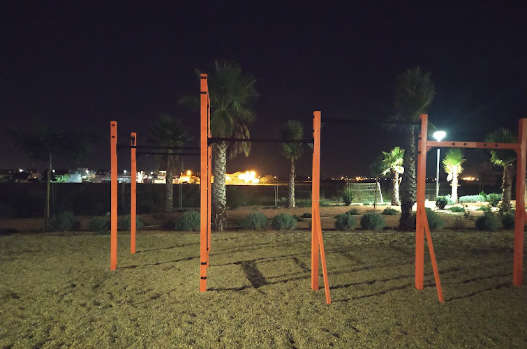 Parque Calistenia Los Dolores