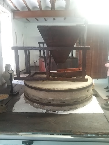 Molino de la Condomina