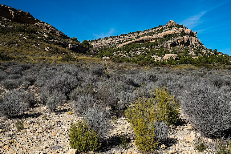 Sierras y Montañas