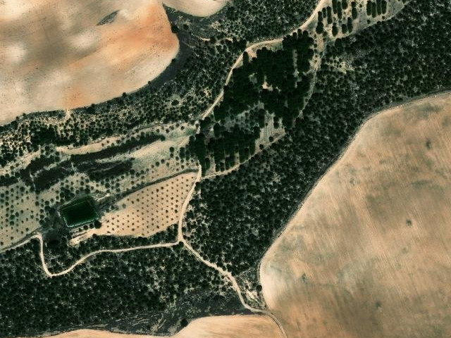Cañada de Pulpite