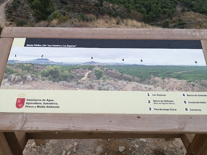 Mirador Coto Cuadros