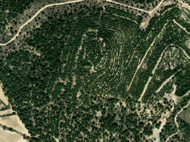 Sierra de Taibilla