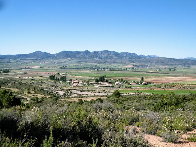 Encina Centenaria del Bajil