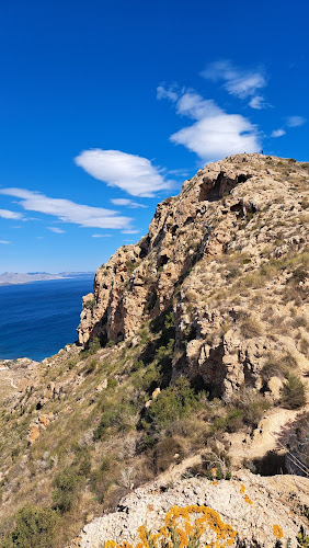 Pinote Cabo Cope